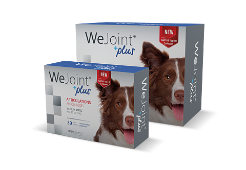 WeJoint Plus Medium Breed 30 tabletter 