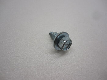 Skruv till bakre spiklist  3/4"