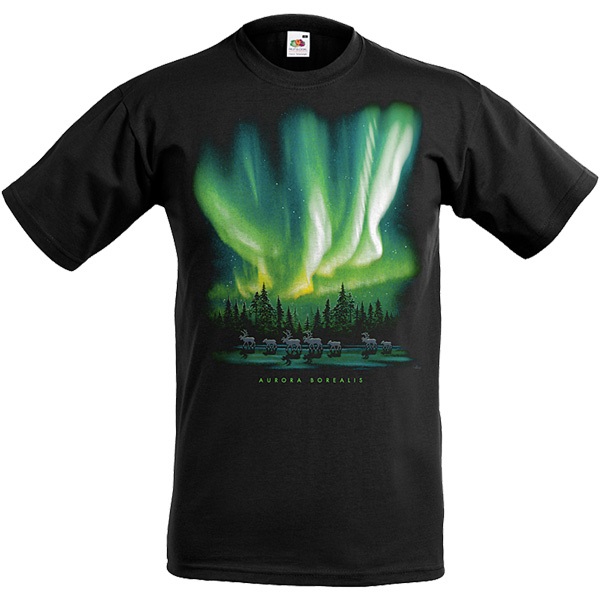 T-Shirt Norrsken Aurora Borealis Barn