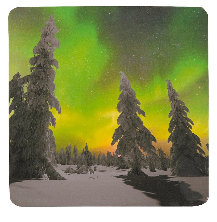 Topfuntersetzer Nordlichter Wald