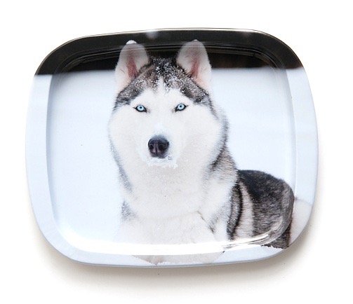 Blechtablett, Husky