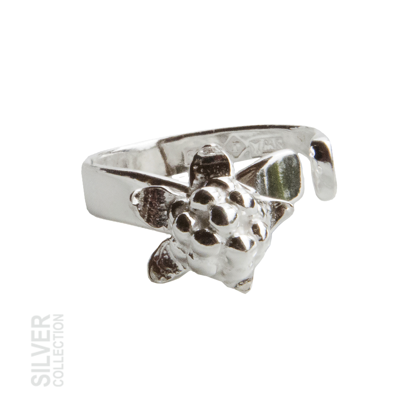 Ring Moltebeere