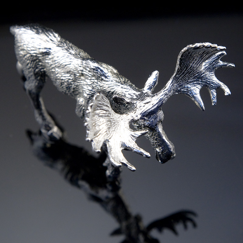 Tenn älg - 2