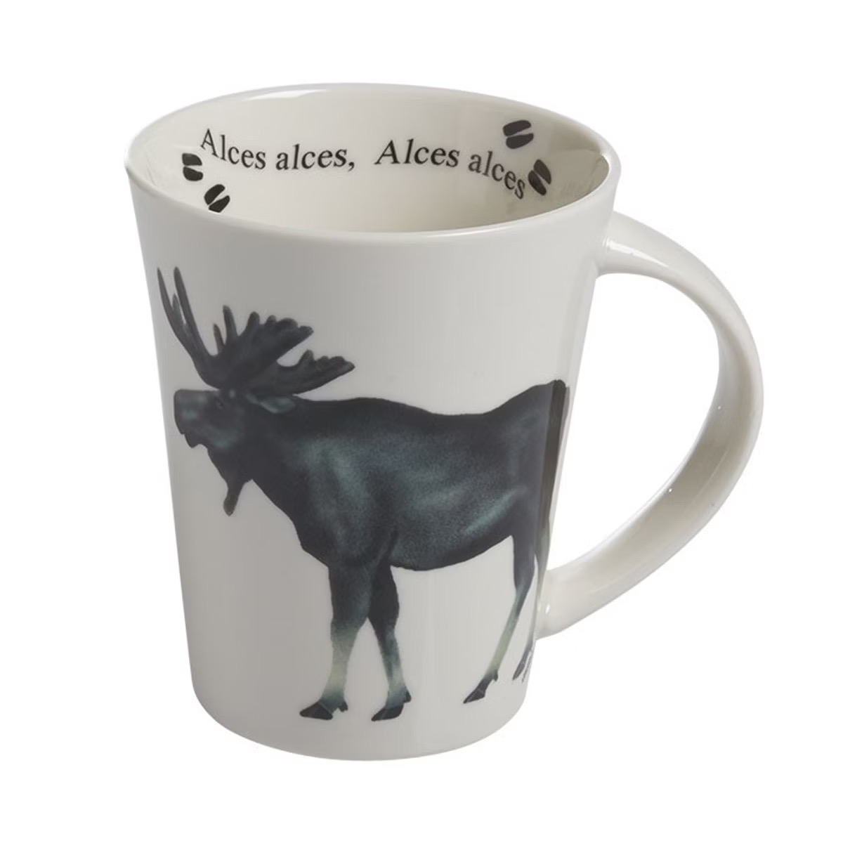 Mugg Moose Alces alces