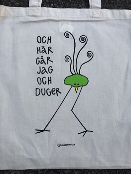 Och här går jag och duger  