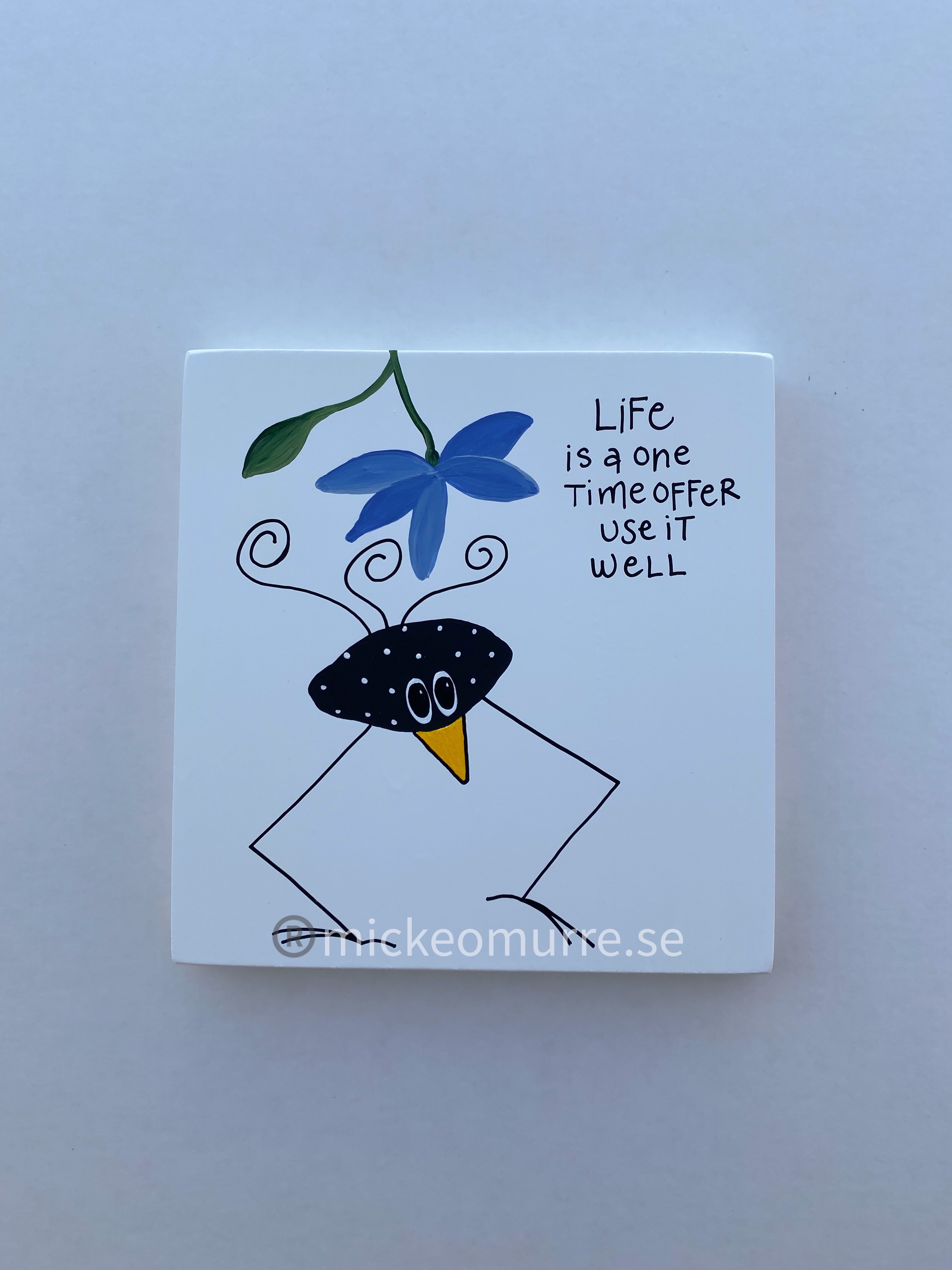 Life is a one time offer use it well