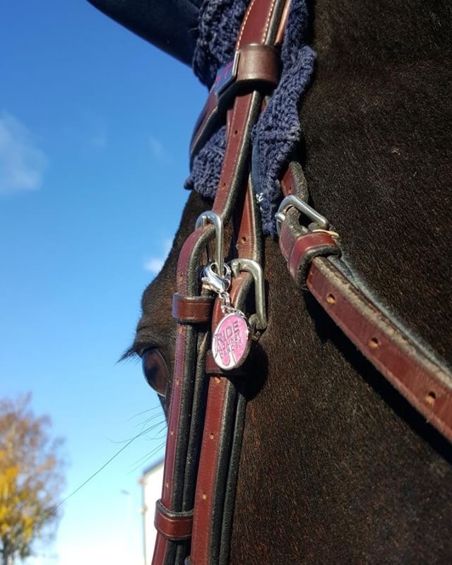 RideAgainstCancer Pendant for Bridle or Necklace - 2