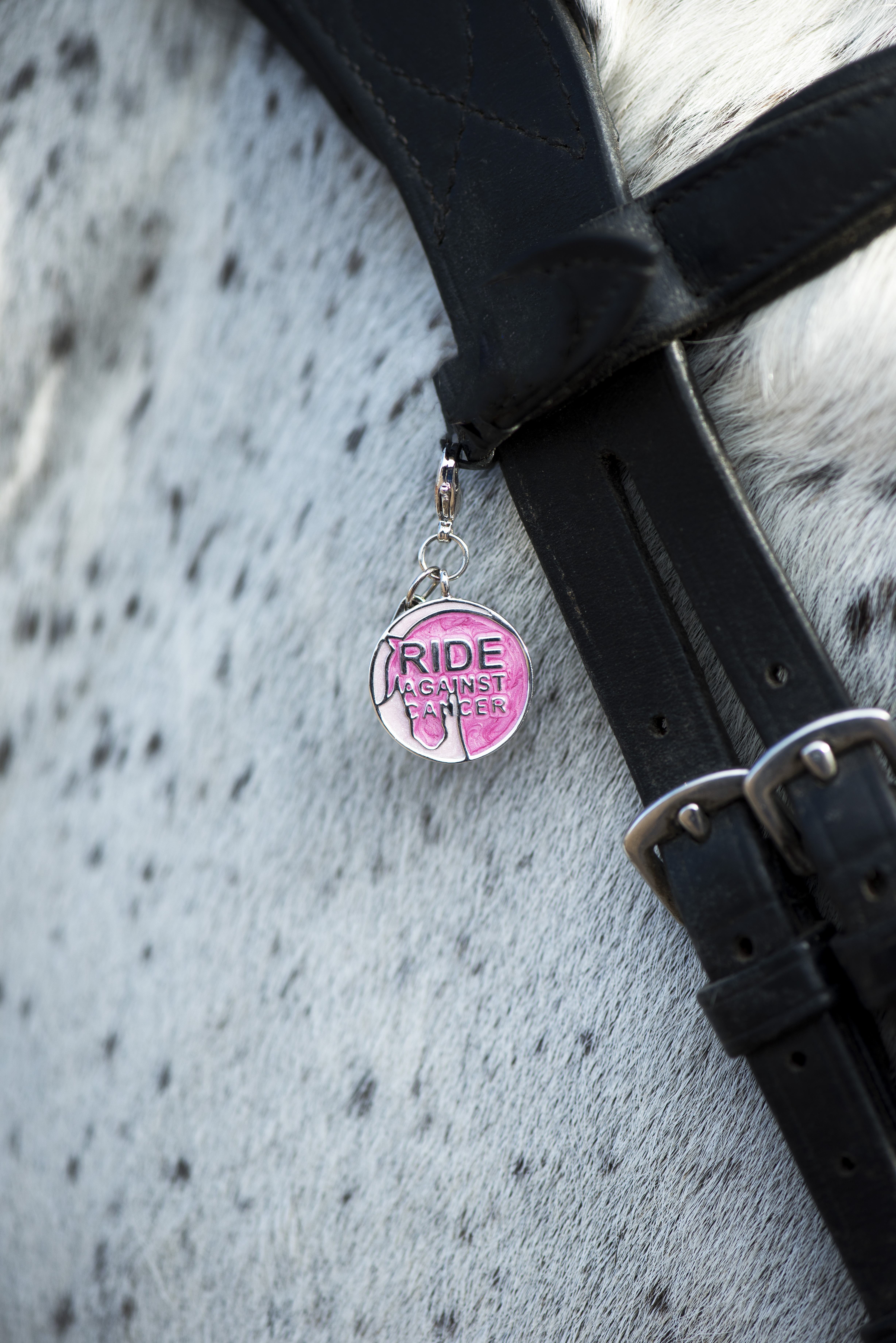RideAgainstCancer Pendant for Bridle or Necklace - 3