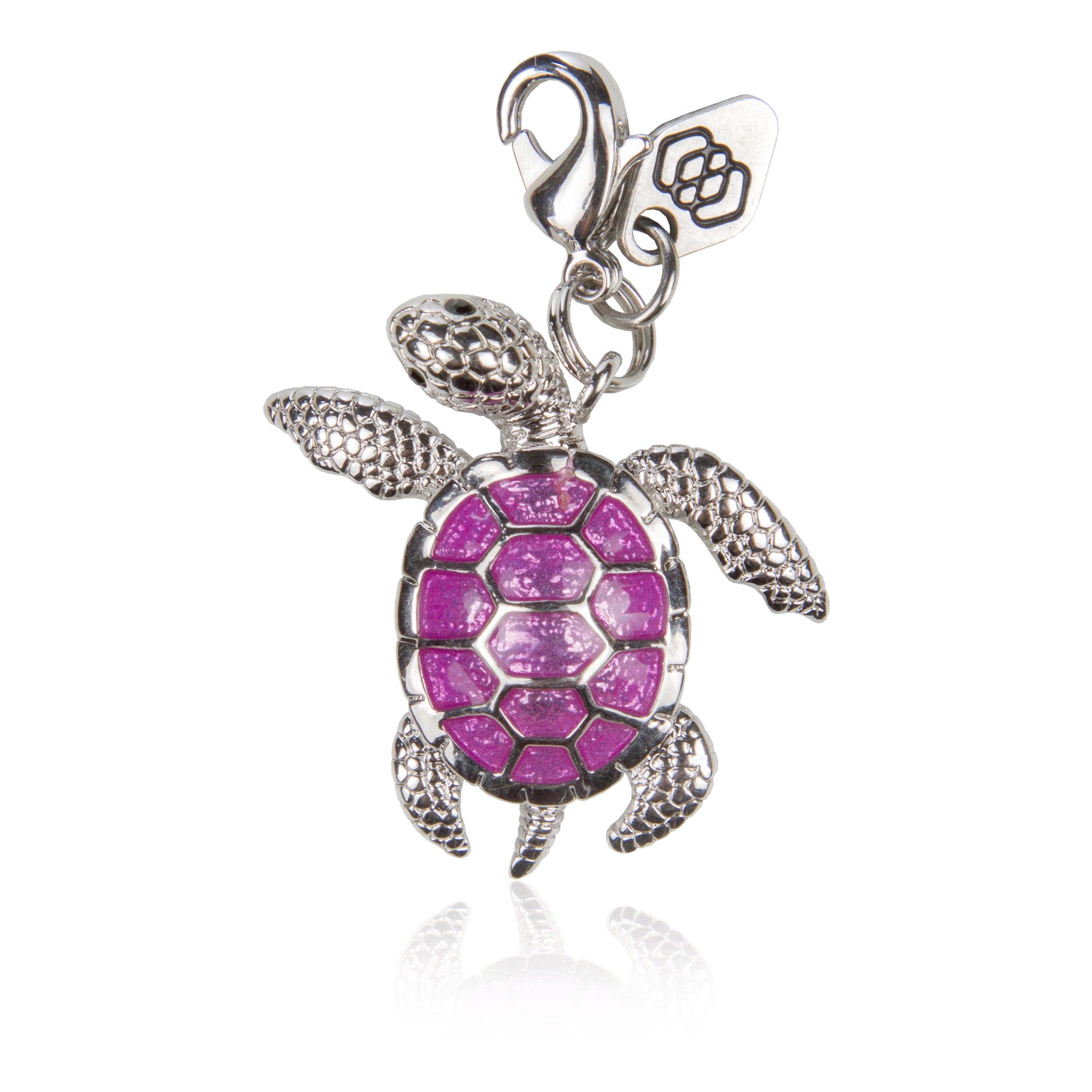 Sea Turtle  - Save the Ocean - 5
