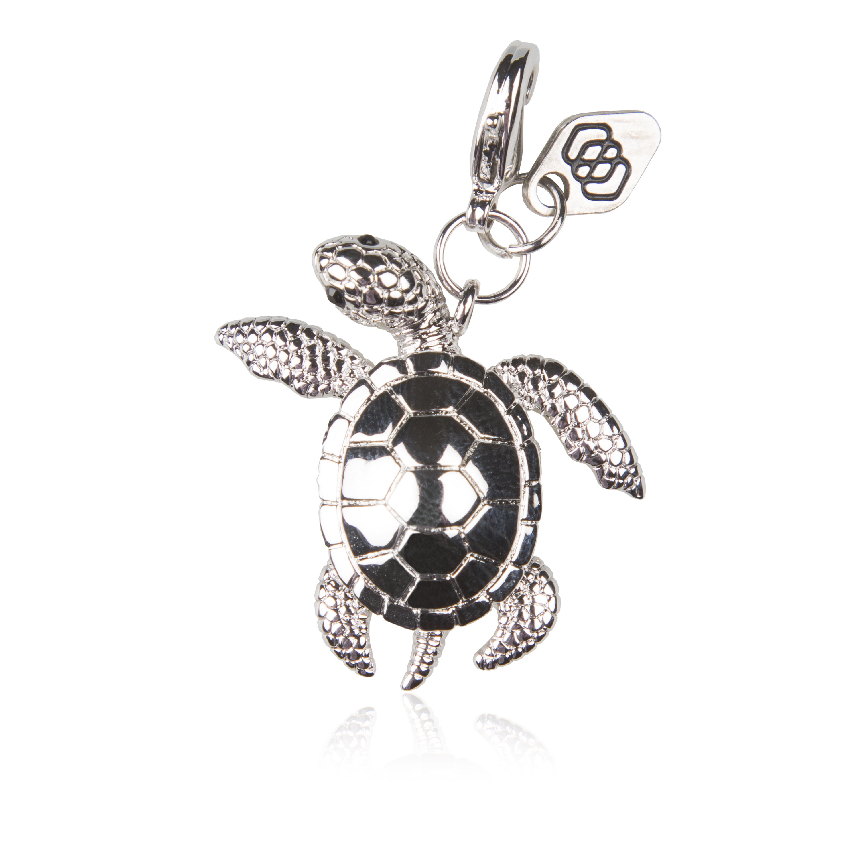 Sea Turtle  - Save the Ocean - 8