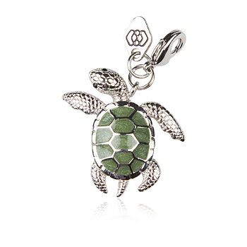 Sea Turtle  - Save the Ocean