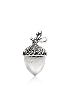 Acorn