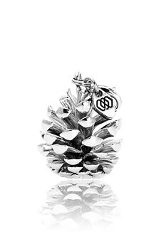 Pine Cone