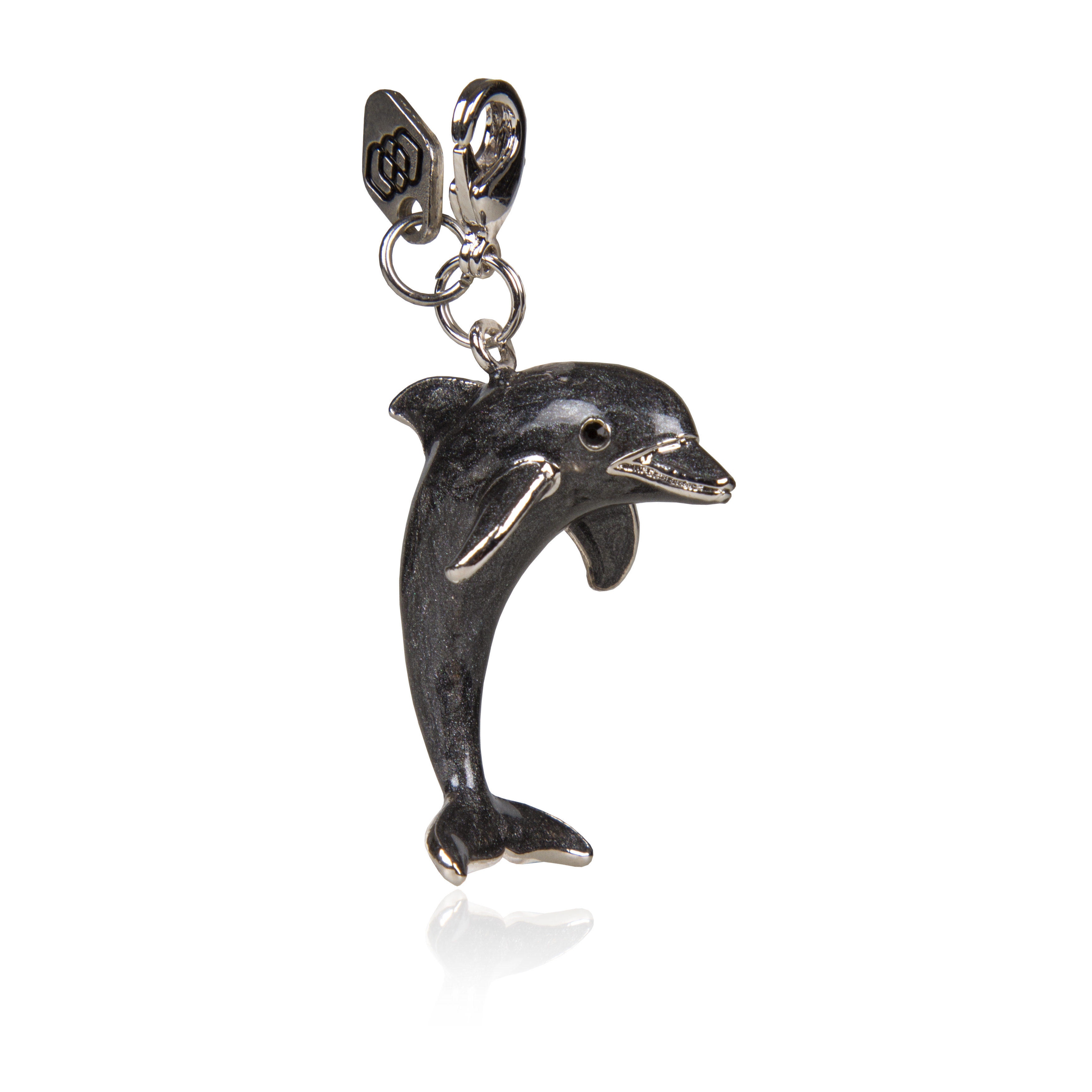 Jumping Dolphin - 5