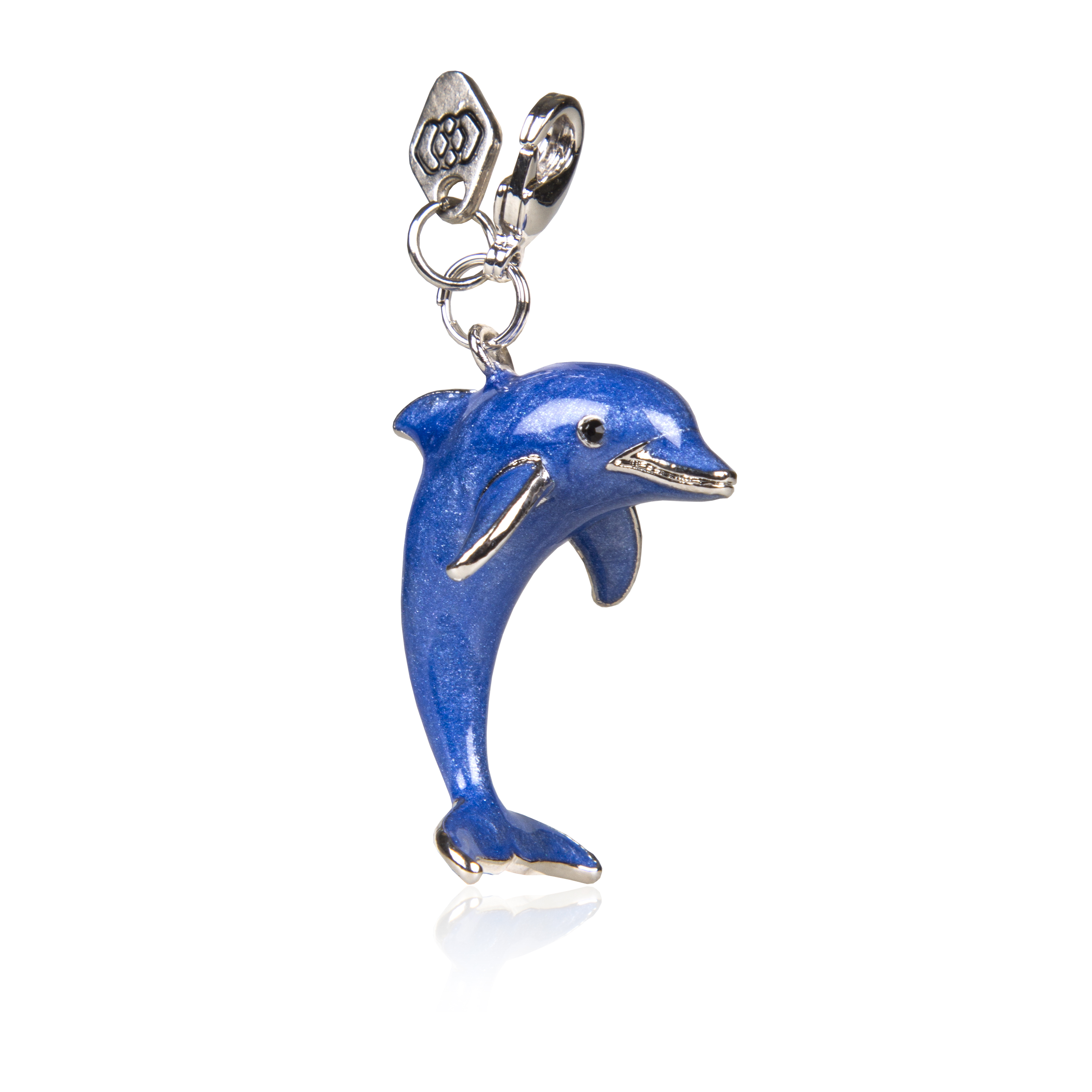 Jumping Dolphin - 3