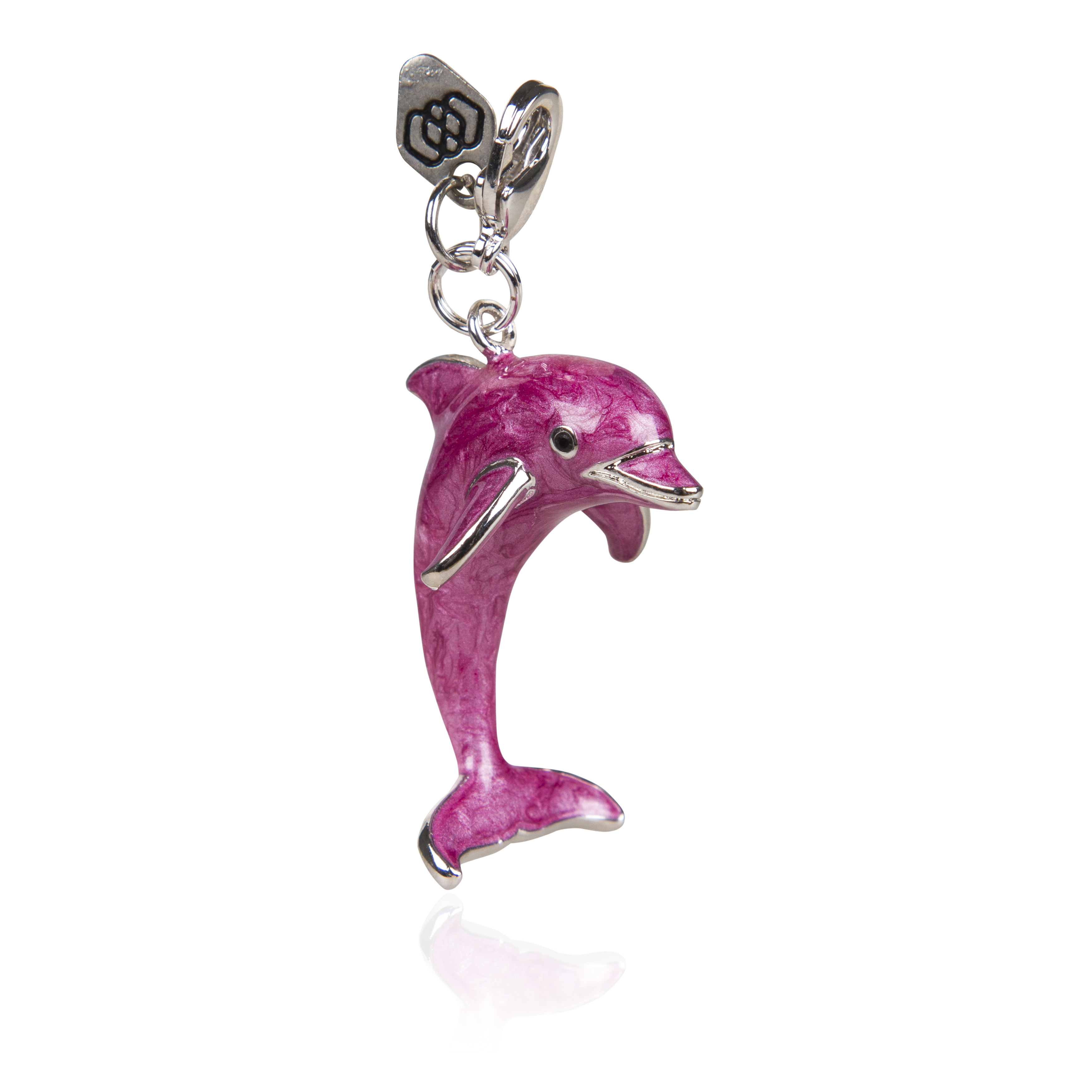 Jumping Dolphin - 2