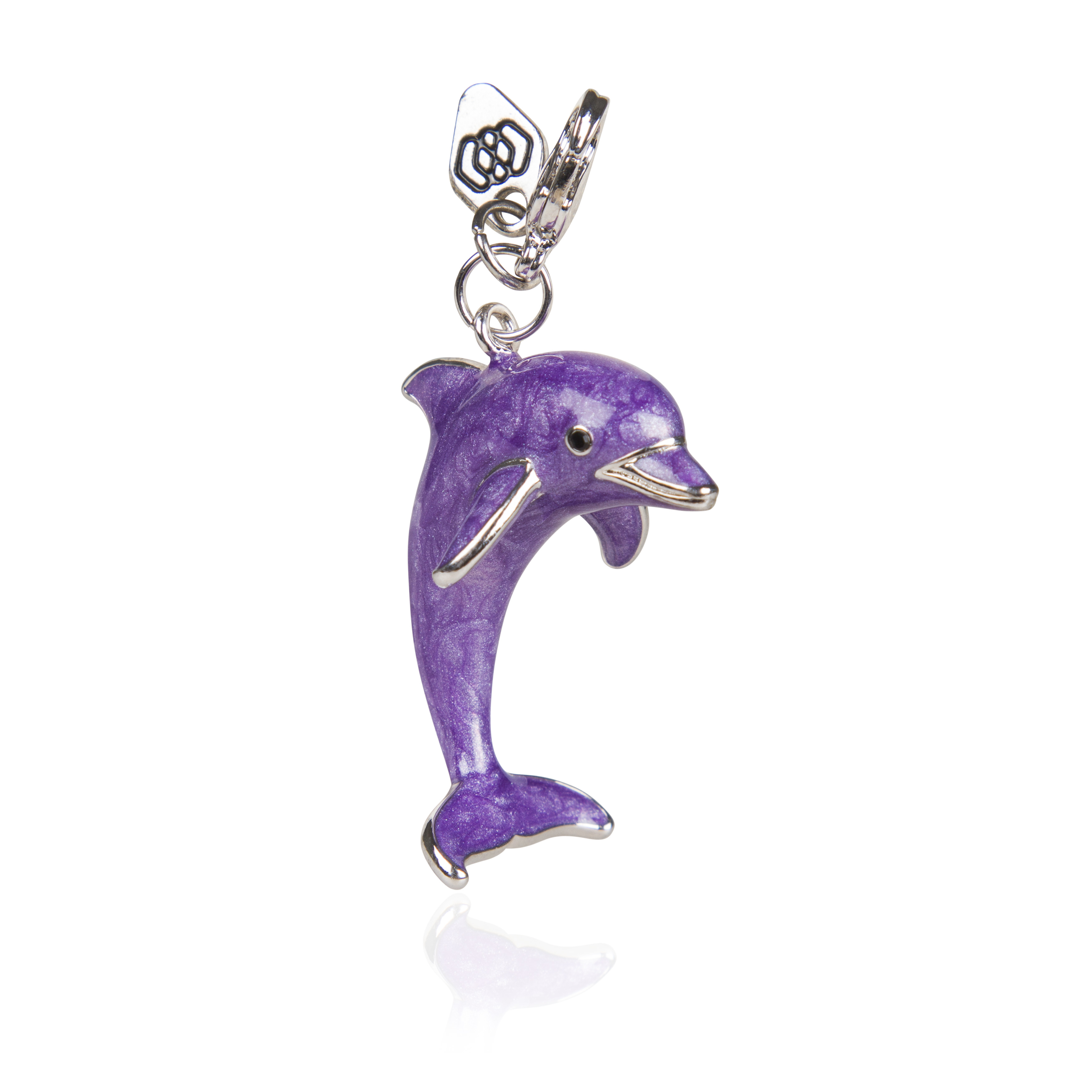 Jumping Dolphin - 8