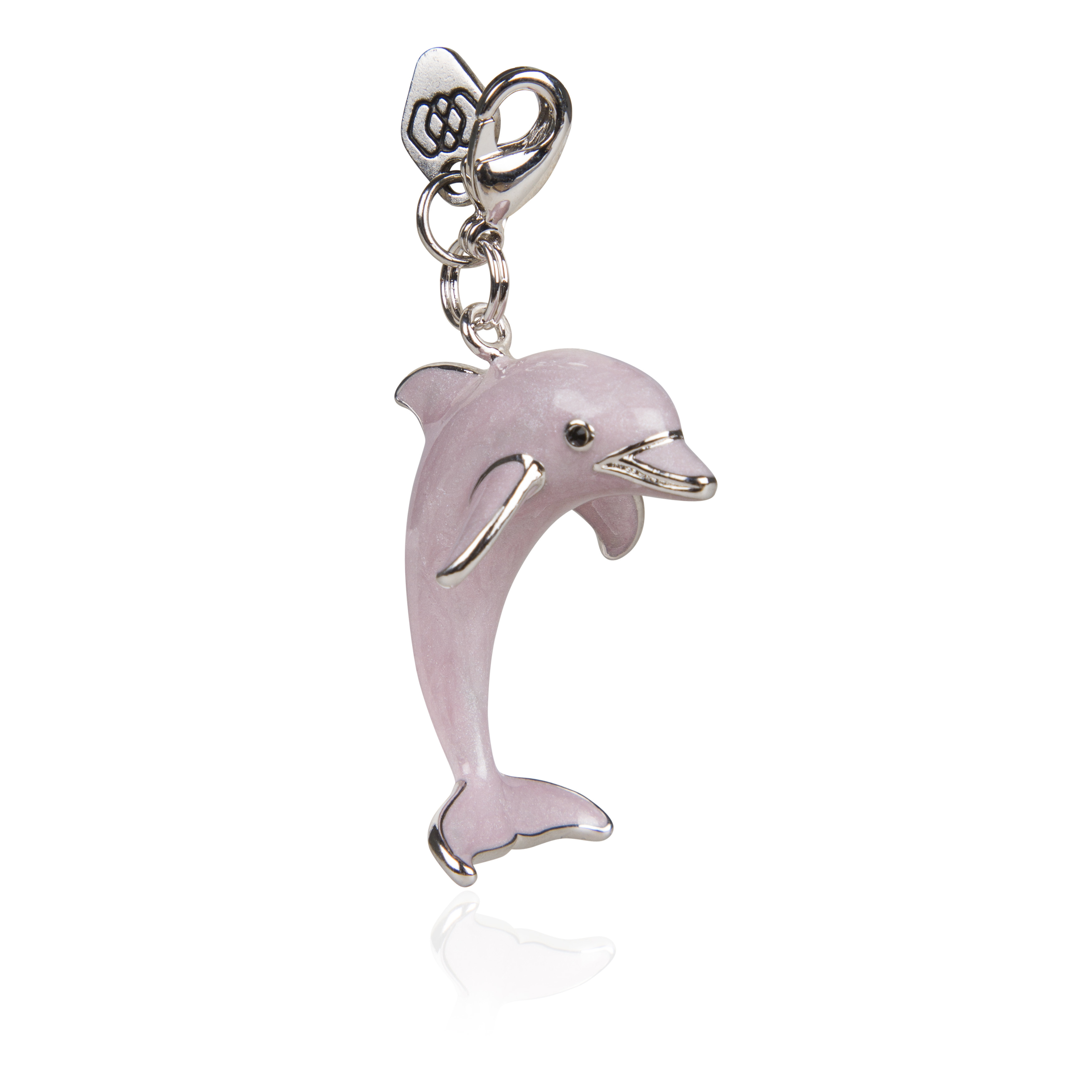 Jumping Dolphin - 4