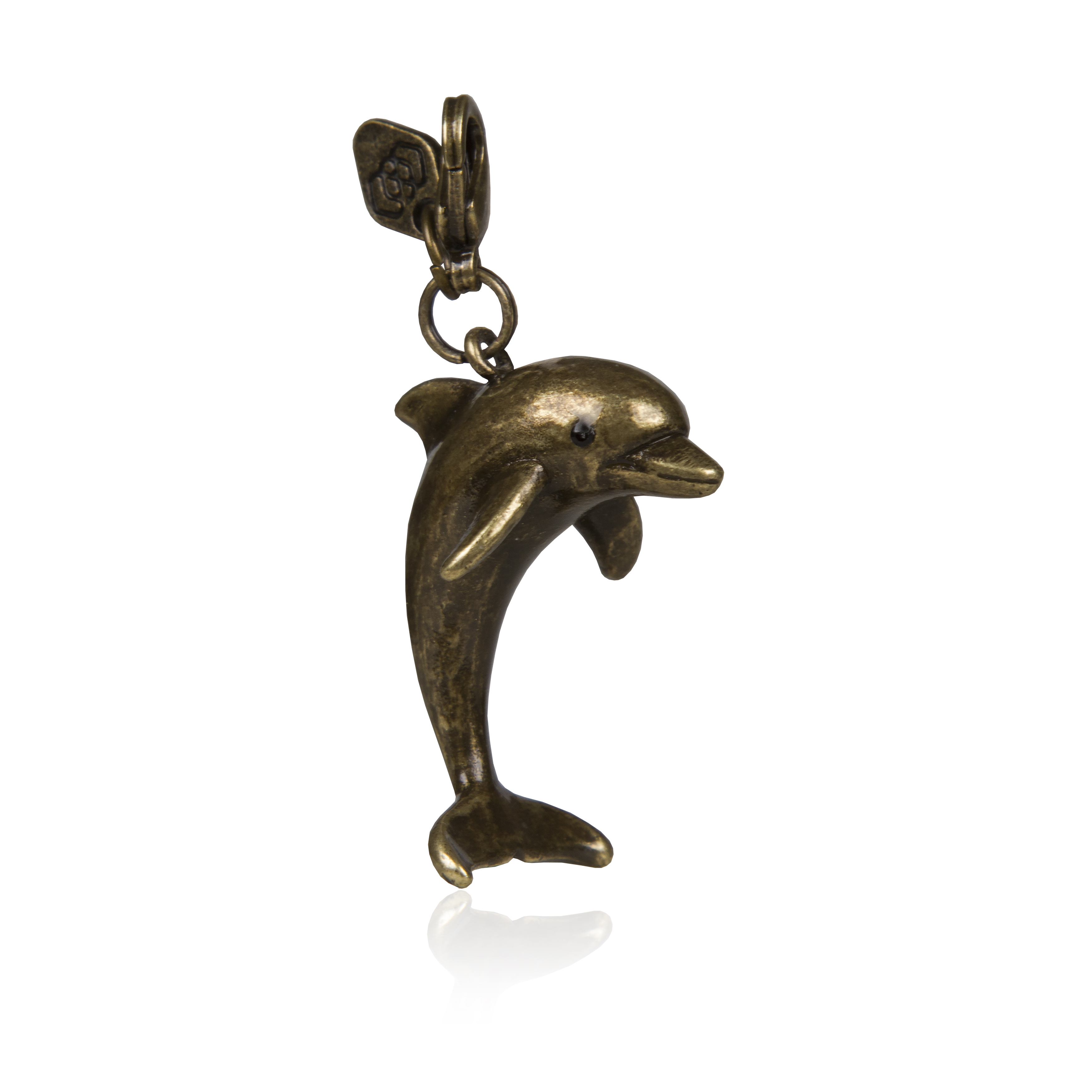 Jumping Dolphin - 6