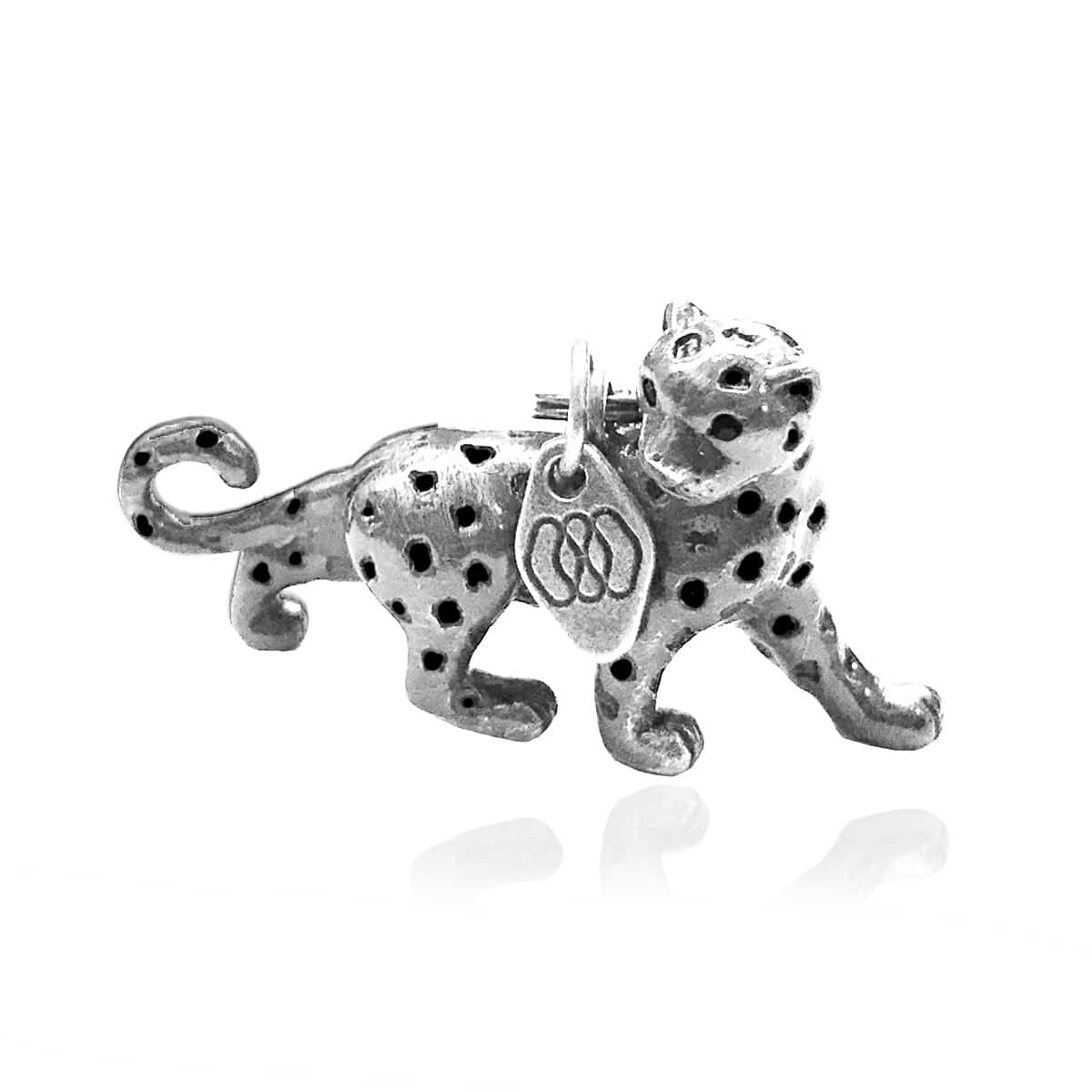 The Great Leopard - Save The Big Cats - 4