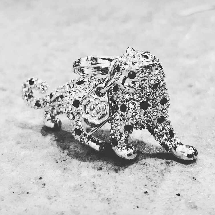 The Great Leopard - Save The Big Cats - 3