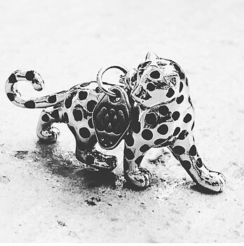 The Great Leopard - Save The Big Cats