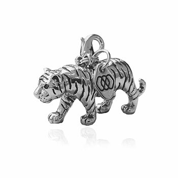 I am the Tiger- Save the Big Cats