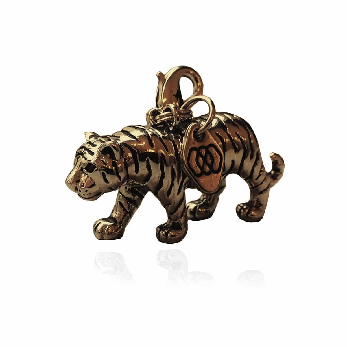 I am the Tiger- Save the Big Cats - 2