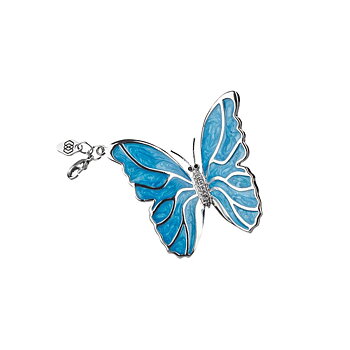 Butterfly Turquoise  