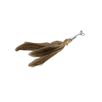 Bird Feather Tuft