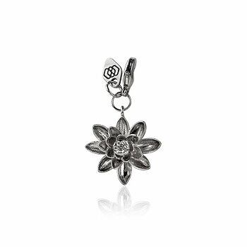 Water Lily / Lotus S