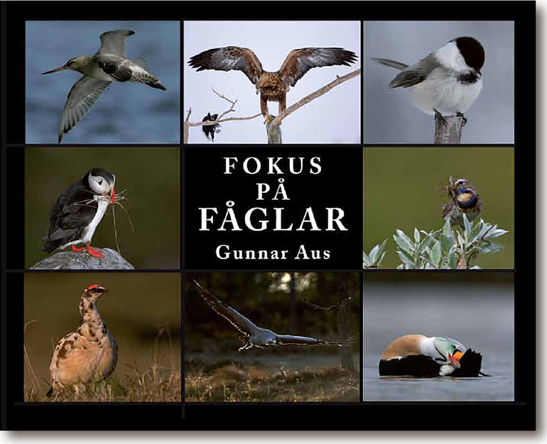 Fokus på fåglar