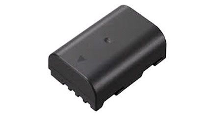 Panasonic Battery DMW-BLF19E 