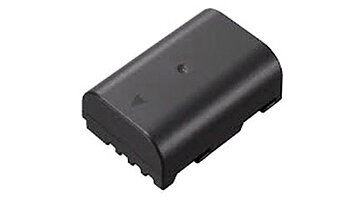 Panasonic Battery DMW-BLF19E 