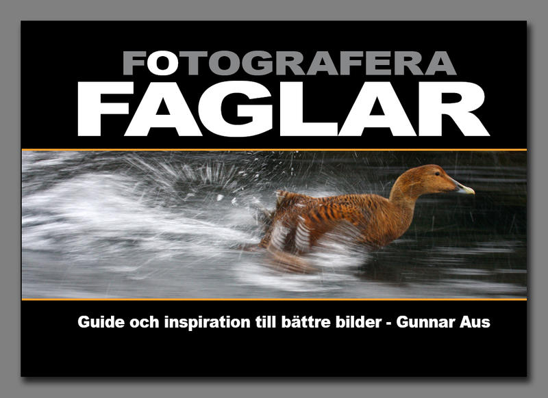 Fotografera fåglar