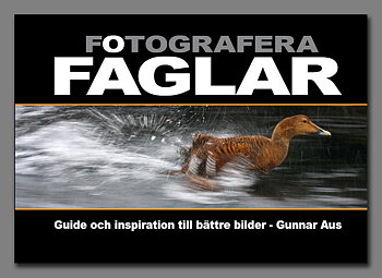 Fotografera fåglar