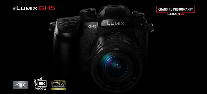 Panasonic Lumix DC-GH5 - 2