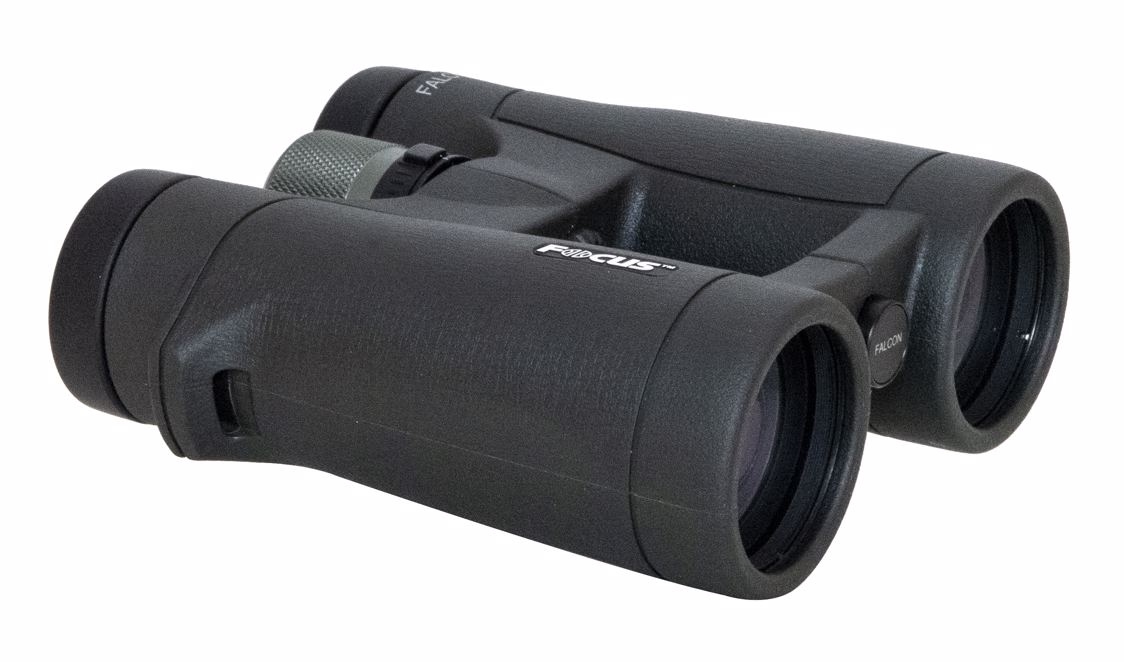 Focus Falcon II 8x42 - 2