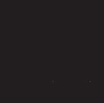 Background Paper  20 Black 2,72 x 11 m