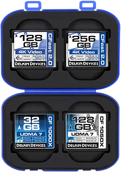 Delkin Weather Resistant Case for 8 CF/CFAST cards