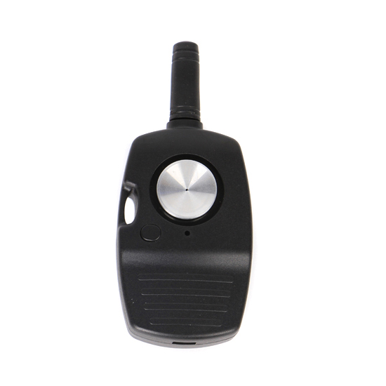 CAME-Single Wireless Remote