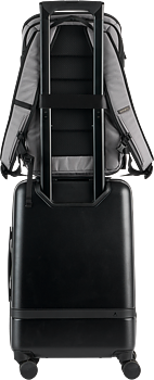 Gomatic Peter McKinnon Luma Camera Pack 18L, Stone
