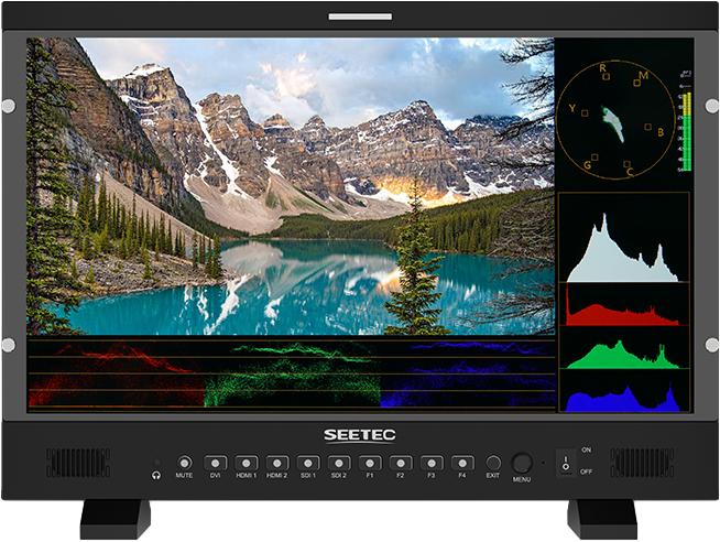 SEETEC monitor P215 PRO – för filmskapare - 3