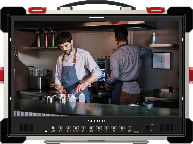 SEETEC monitor P215 PRO-CO