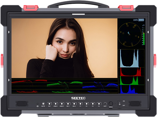 SEETEC monitor P215 PRO-CO - 2