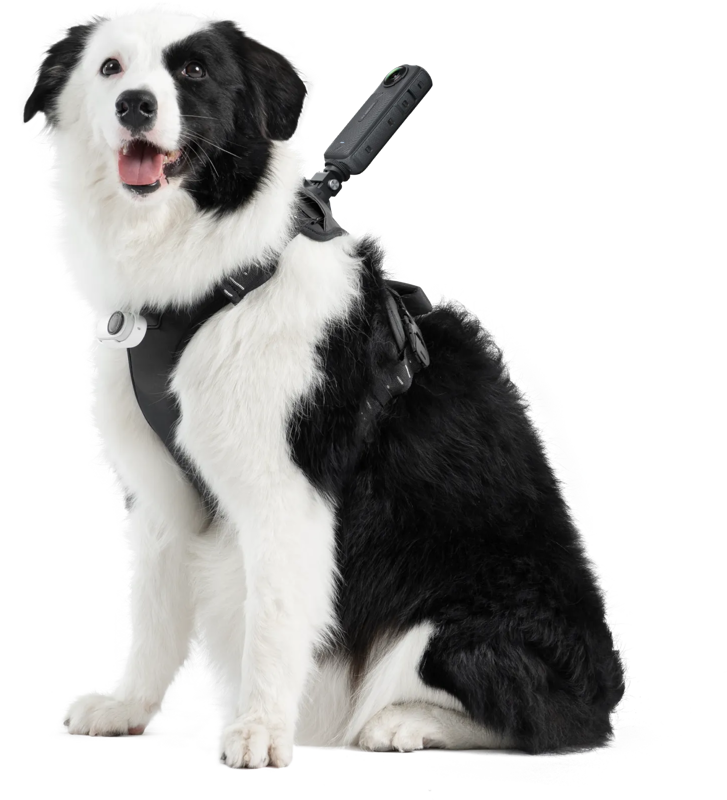 Insta360 Pet Harness Mount Size L