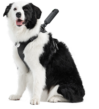 Insta360 Pet Harness Mount Size L