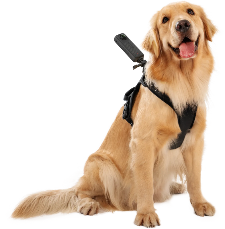 Insta360 Pet Harness Mount Size L - 5
