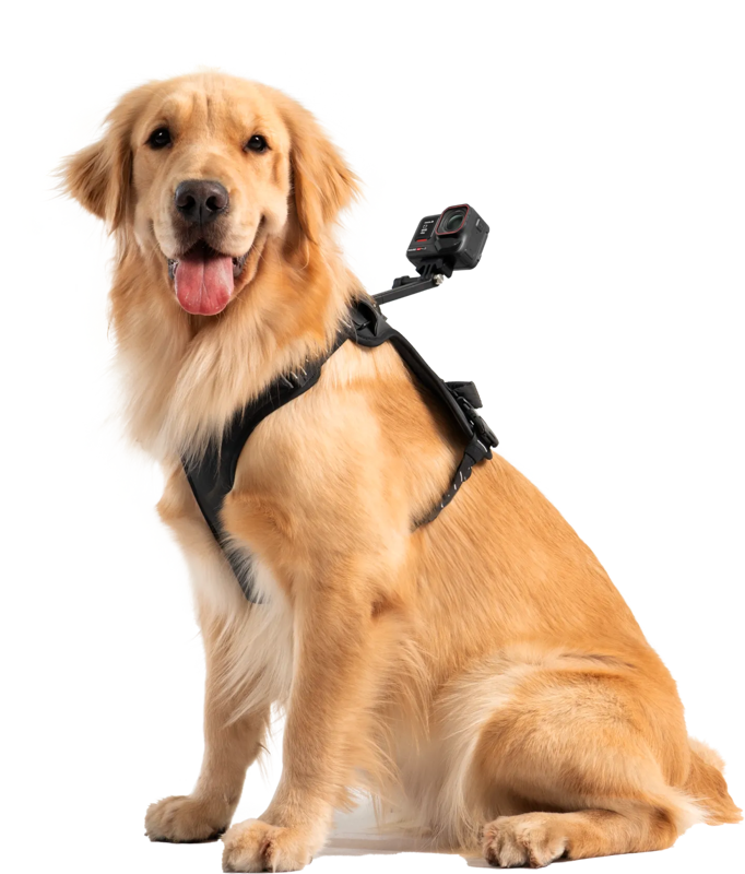 Insta360 Pet Harness Mount Size L - 4
