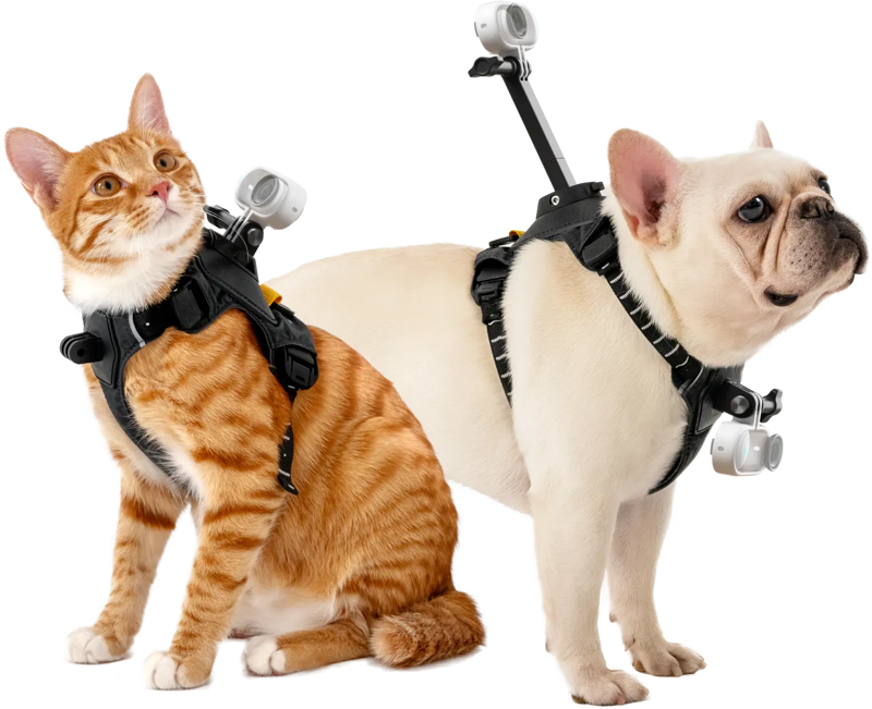 Insta360 Pet Harness Mount Size S